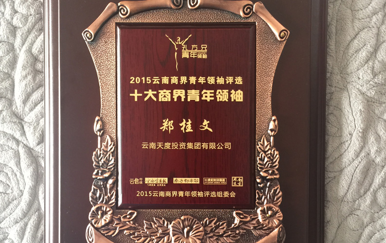 在&ldquo;互聯(lián)網(wǎng)大時(shí)代&rdquo;的背景下，天度作為本土很大和很有名的互聯(lián)網(wǎng)服務(wù)企業(yè)，為近萬(wàn)家傳統(tǒng)企業(yè)轉(zhuǎn)型互聯(lián)網(wǎng)+提供了服務(wù)和幫助，獲此獎(jiǎng)項(xiàng)后，我們將再接再厲，創(chuàng)造更高的社會(huì)價(jià)值
